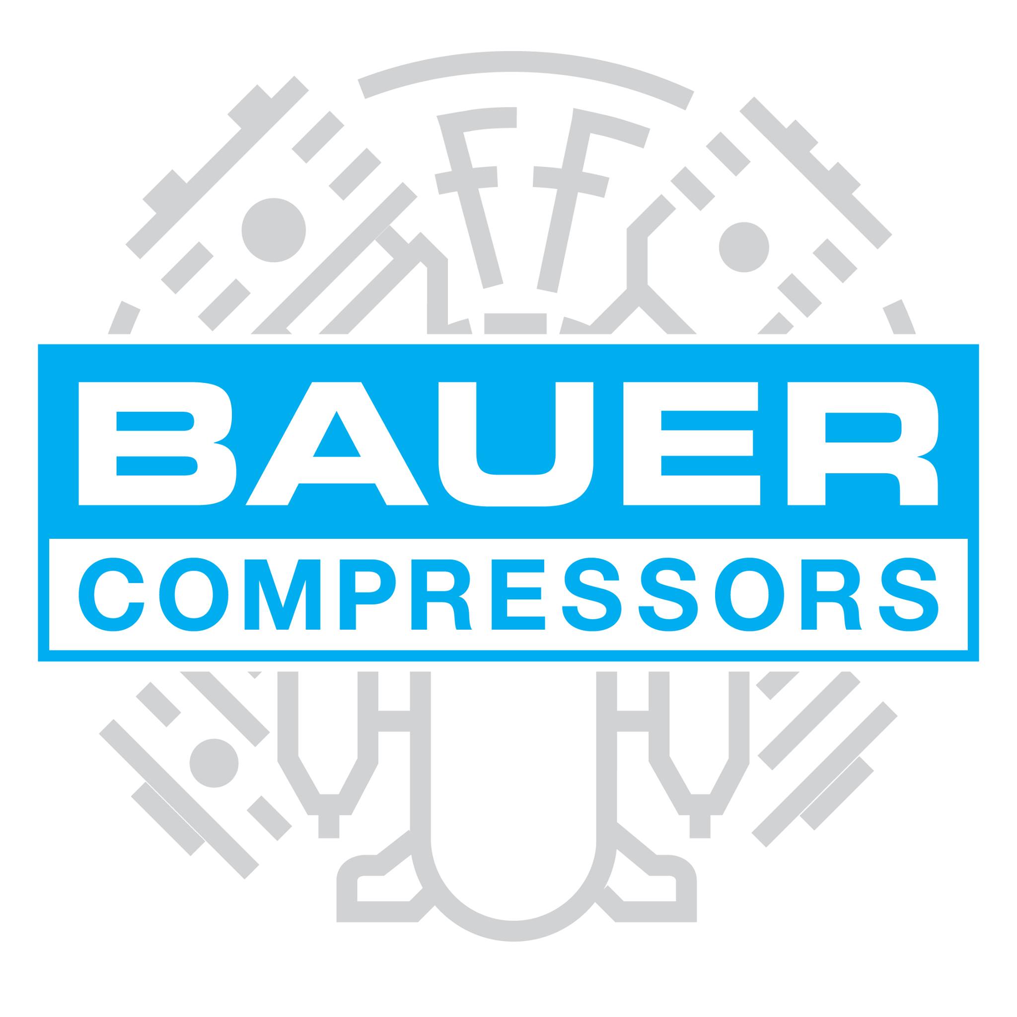 Bauer Compressors Inc Norfolk VA COSSD