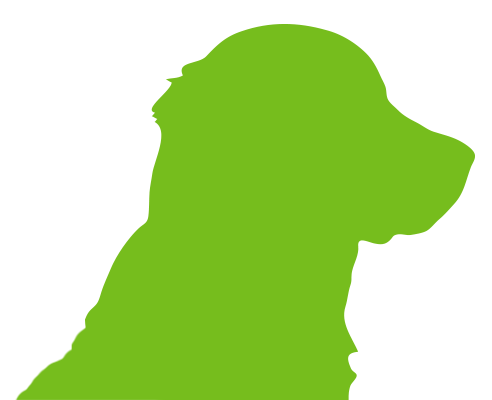 Afti Watchdog logo