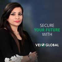 VEi Global logo