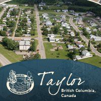 District of Taylor logo