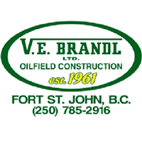 VE Brandl Ltd logo