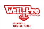 WellPro logo