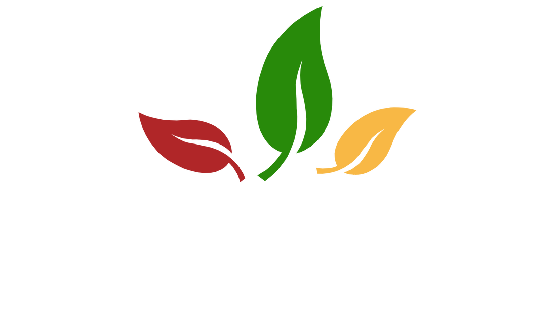 Cortex Management Inc logo