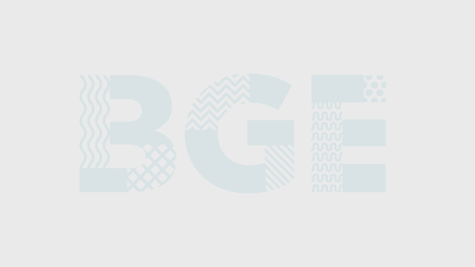 The Filter Shop at BGE logo