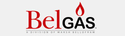 Marsh Bellofram Group Of Companies logo