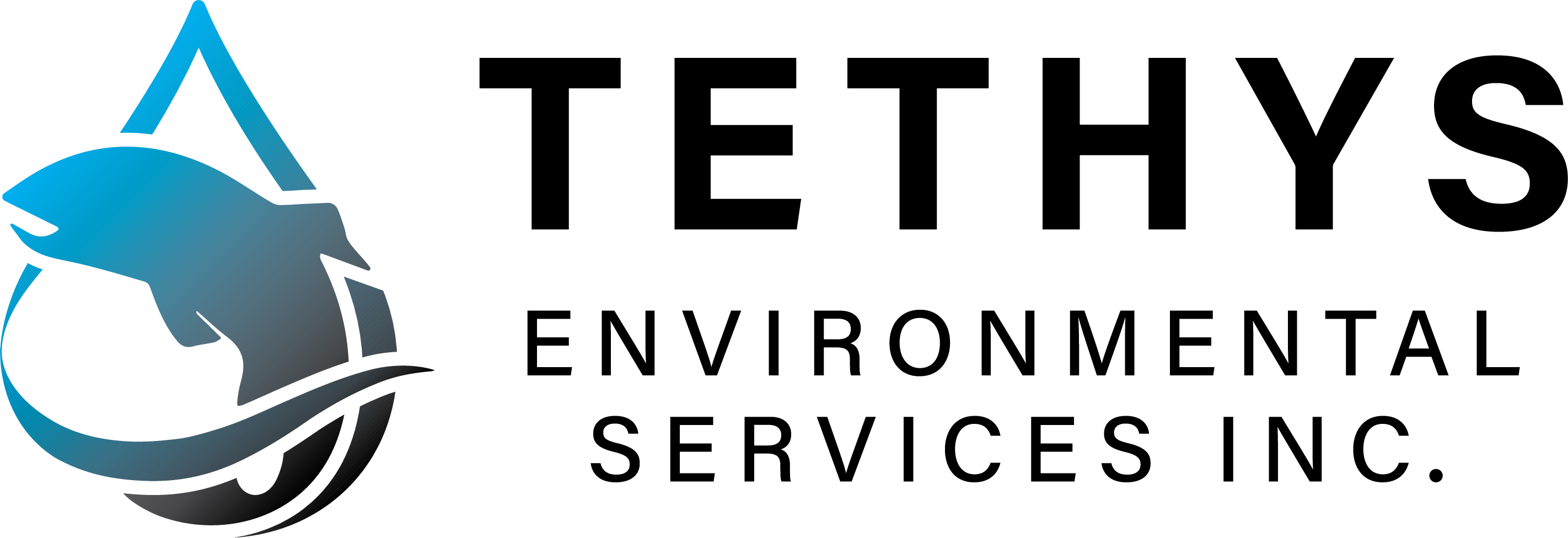 Tethys Environmental Services Inc. logo