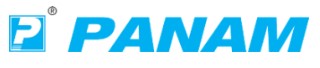 Panam Engineers Canada logo
