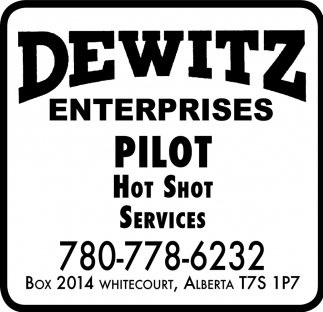 Dewitz Enterprises logo