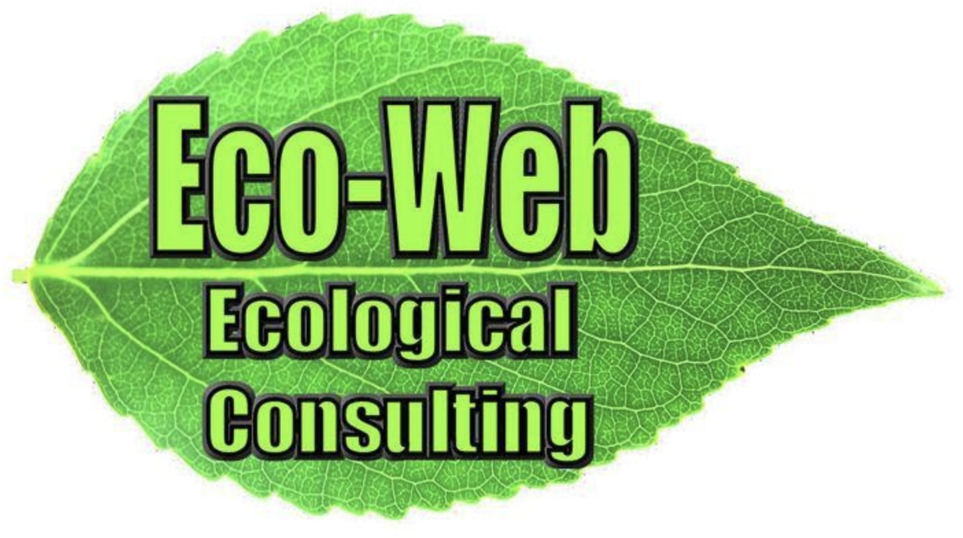 Eco-Web Ecological Consulting Ltd logo