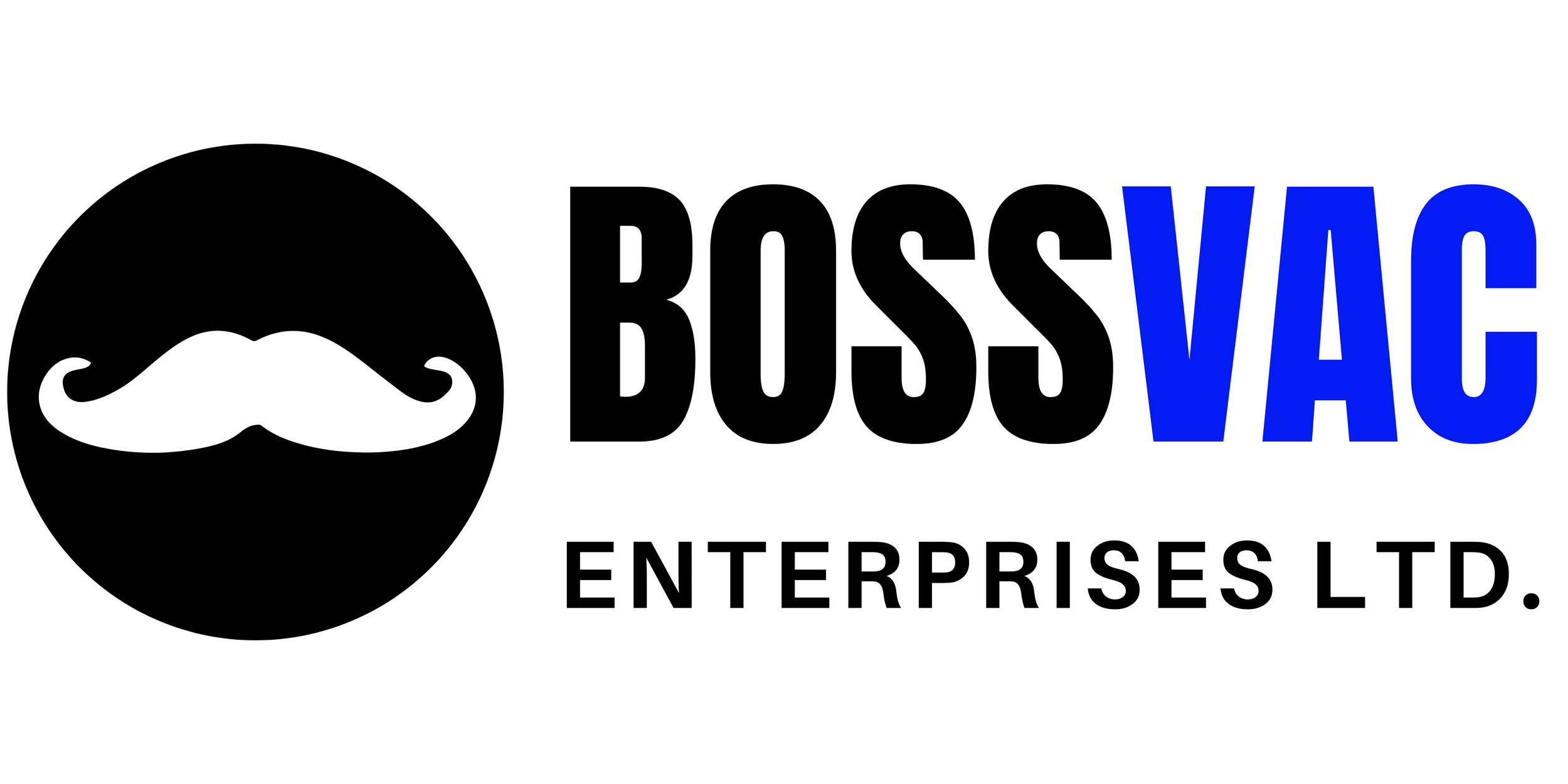 Boss Vac Enterprises Ltd logo