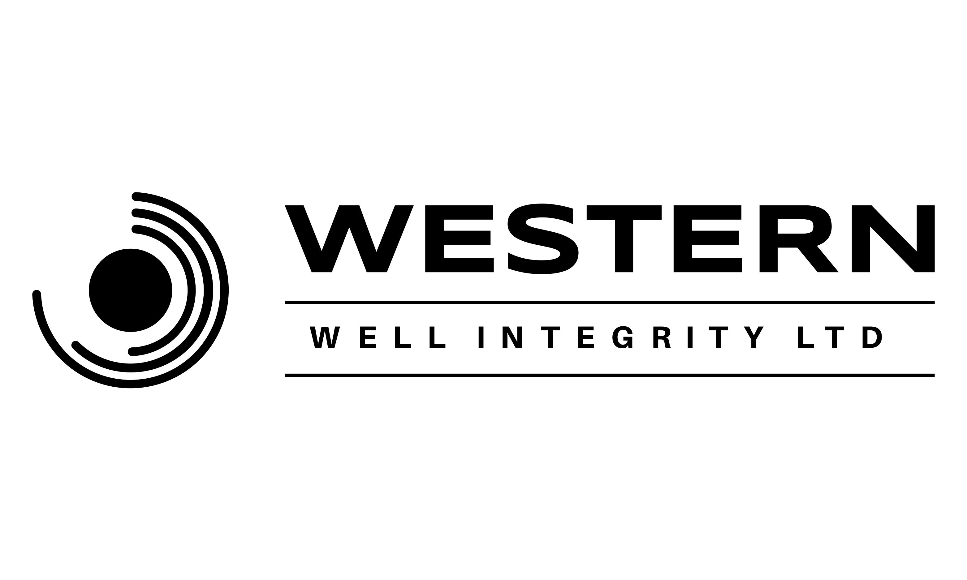 Western Well Integrity Ltd. logo