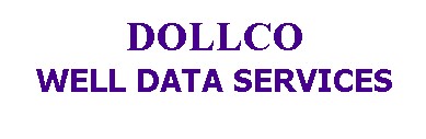 DOLLCO Well Data Services logo