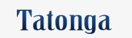 Tatonga Consulting logo