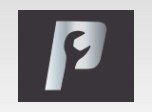Platinum Services Inc. logo