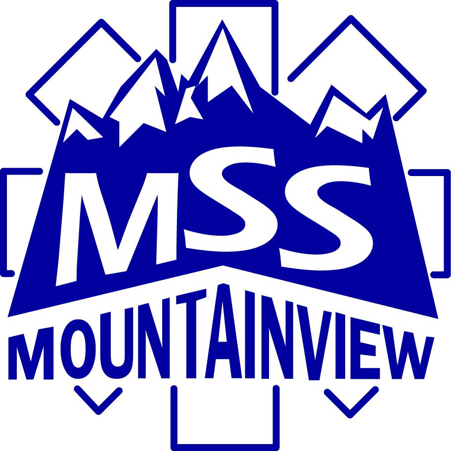 Mountainview Safety Services logo