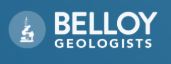 Belloy Petroleum Consulting Ltd logo