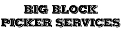 Big Block Picker Services Ltd logo