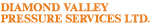 Diamond Valley Pressure Services Ltd logo