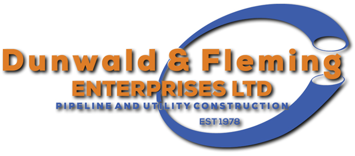 Dunwald & Fleming Enterprises Ltd logo
