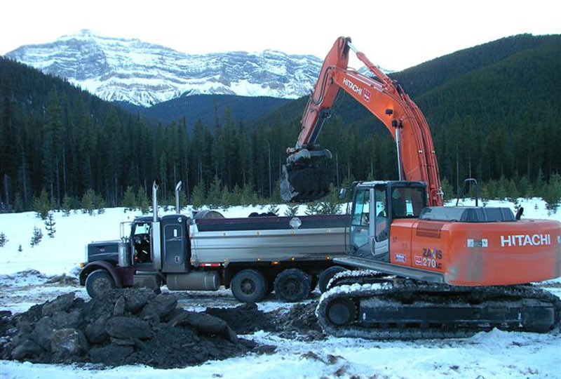 NELSON Environmental Remediation Ltd logo