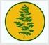 Tall Pine Drilling Ltd logo