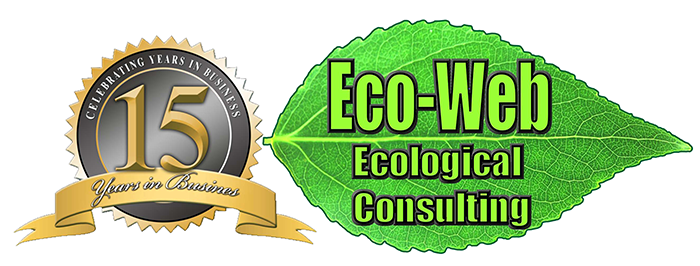 Photo uploaded by Eco-Web Ecological Consulting Ltd