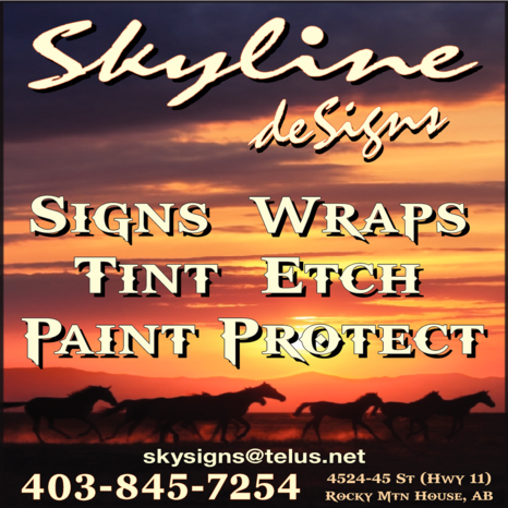 Print Ad of Skyline Designs