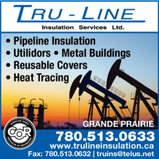 Print Ad of Tru-Line Insulation Services Ltd