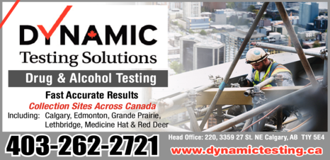 Print Ad of Dynamic Testing Solutions Ltd