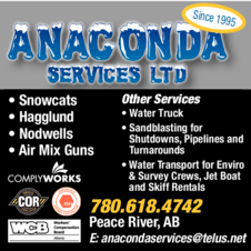 Print Ad of Anaconda Services