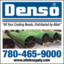 Print Ad of Denso 