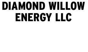 Diamond Willow Energy Llc logo
