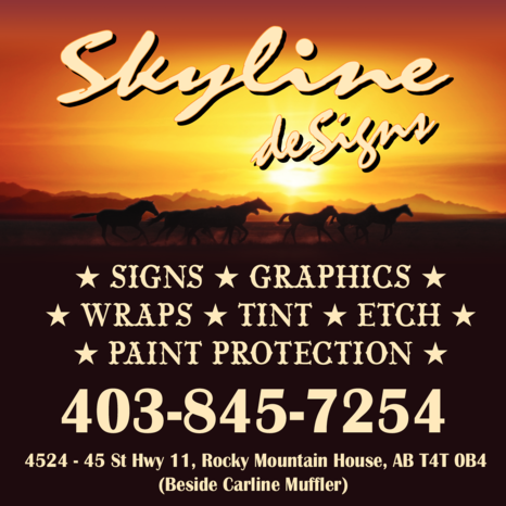 Print Ad of Skyline Designs