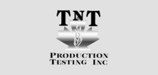 Print Ad of Tnt Production Testing Inc